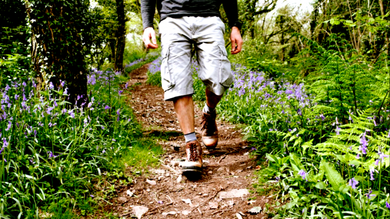 In Defense of Cargo Shorts