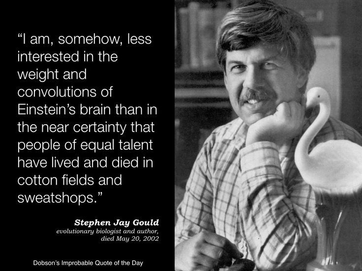 There are more Scientists Named "Steve" Who Support Evolution than All